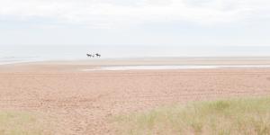 image Cabourg_40_ans17.jpg (2.4MB)