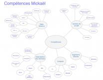 image ex_cptces_mv.jpg (88.1kB)