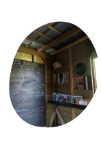 image 11.png (2.5MB)