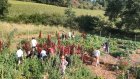 JardinsPartagesDuTiersLieuPaysanDeLaMar_image_la-martiniere.jpg