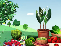 Les fruits et légumes de mai