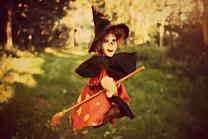 image witch_broom_witch_hat_doll_toy_toy_witch_female_witch_forest540461jpgd.jpeg (0.2MB)