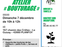 Atelier Bouturage