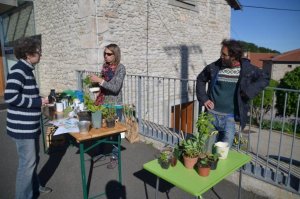 image troc_de_graines.jpg (53.5kB)