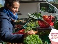 [PNR] Vers un nouveau parc (retour sur les ateliers de concertation)