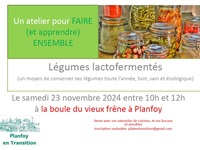 Légumes lactofermentés