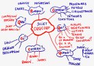 image ClarifierSonProjet_bf_fichier_cqqcoqp.jpg (0.2MB)