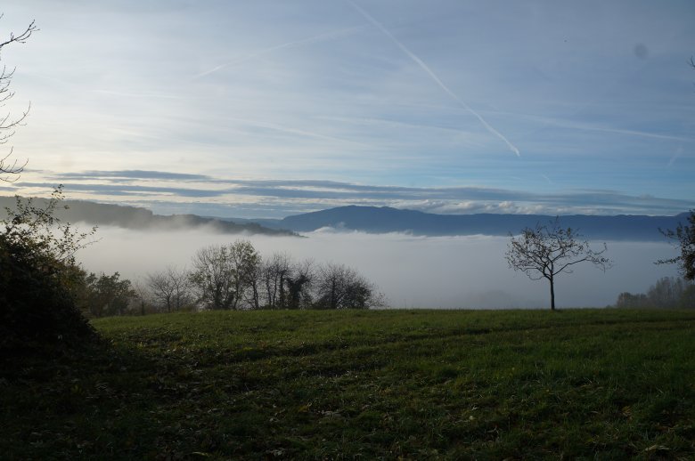 image DSC04120.jpg (4.3MB)
Lien vers: https://www.chartreuse-de-pomier.fr/ 