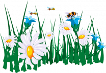 image flowers45786_640.png (0.2MB)