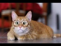 Prochaine Agora &agrave; Chiz&eacute;