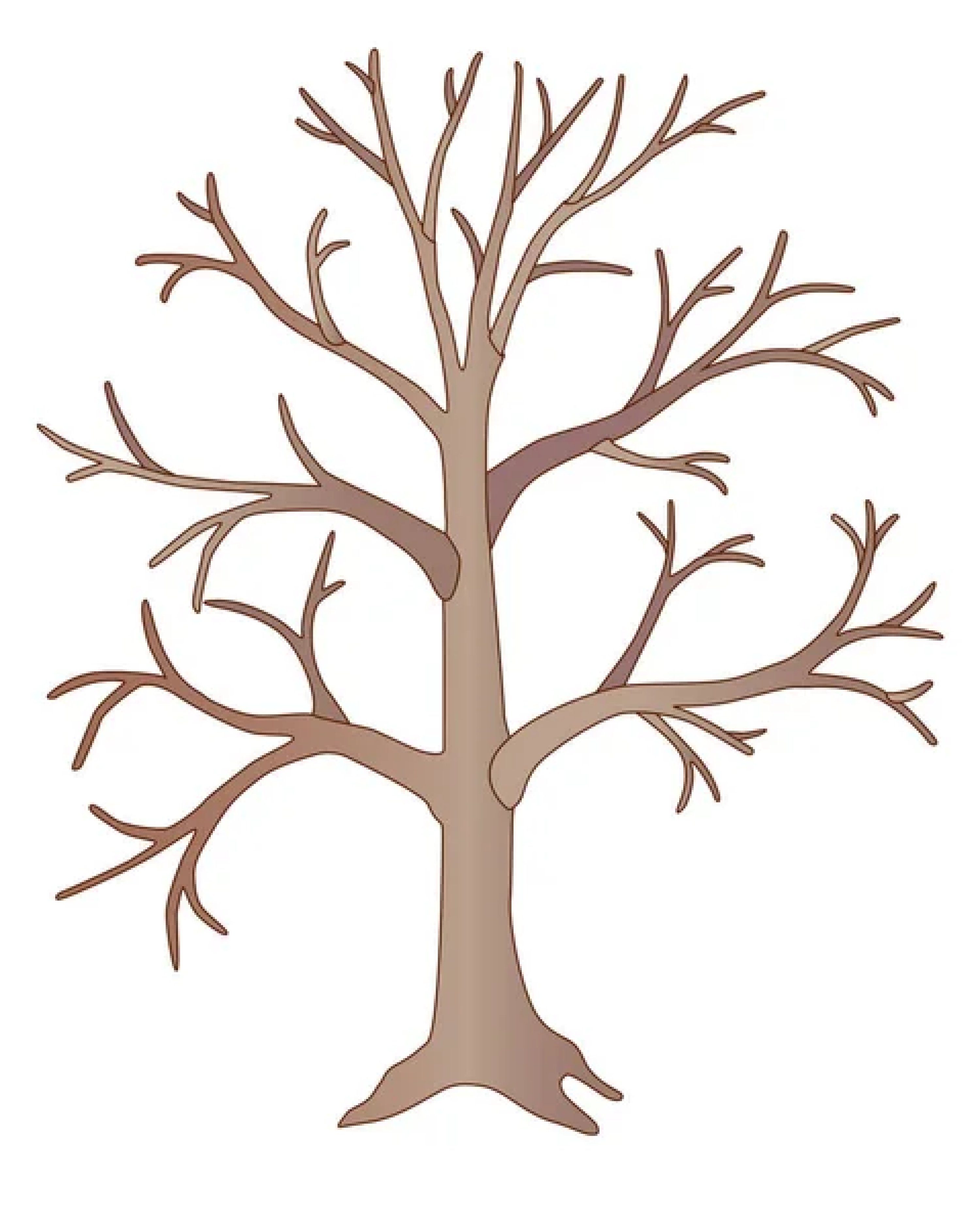 un arbre sans feuilles en dessin