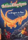 Nao1LaCabaneMagiqueLeDragonDeFeuMa_img_0873.jpg