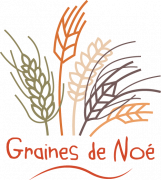 GareCentraleGrainesDeNoe_logo-grainesdenoe.png