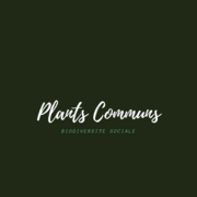 plantscommuns_sans-titre.png