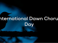 Journée internationale du Choeur de l'aube