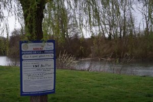 image La_basse_Vivante.jpeg (0.5MB)