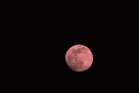 lune2_photo-prise-le-06.04.20.jpg