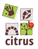 image citrus.png (22.3kB)