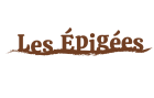 image Logo_officiel__Les_piges_pour_partenaires__horizontal.png (13.4kB)