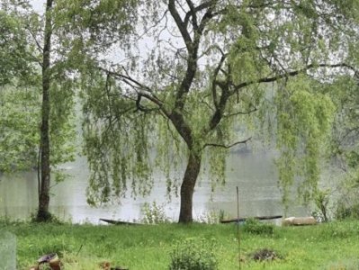 Compléments de bio