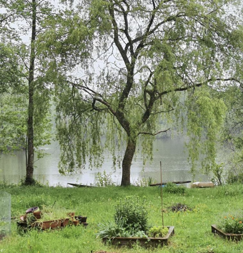 image Etang_Regard_Tranquille.png (0.5MB)