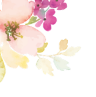 image image.png (61.0kB)