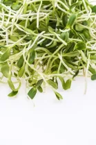 image naturesanteorganiquevertfrais_12035532.webp (29.9kB)