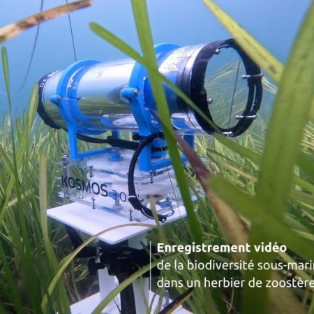 Journée "Kosmos : une caméra marine open source pour observer collectivement nos littoraux sous-marins"