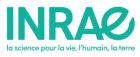 image inrae_logo_369_x149_0.png (45.7kB)
Lien vers: https://www.inrae.fr/