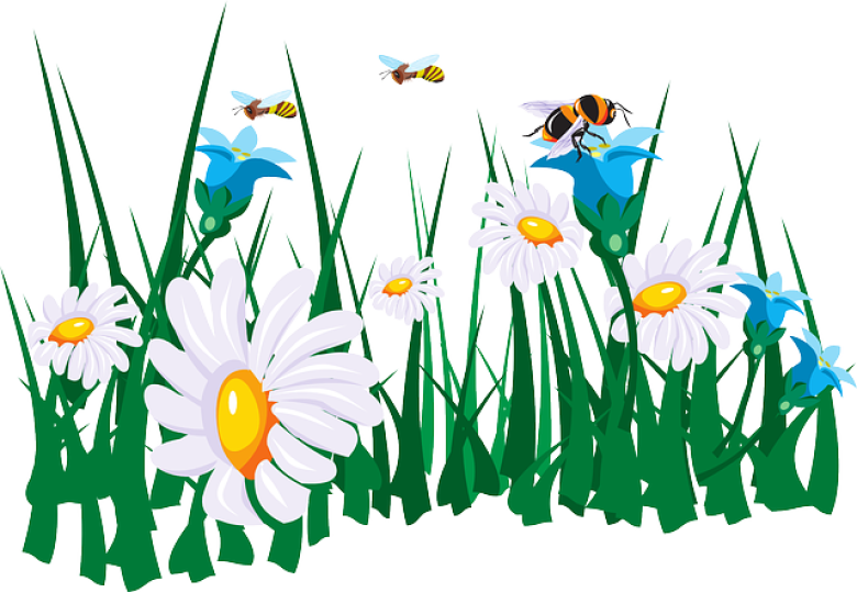image flowers45786_640.png (0.2MB)