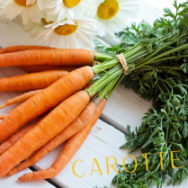 image carotte.png (2.0MB)