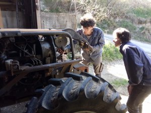 IMG_20250410_170438.jpg
