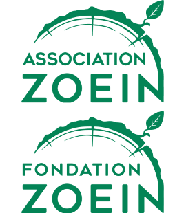 image Logos_Association_Fondation_Zoein_270x310.png (9.4kB)
Lien vers: PagePrincipale