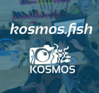 Screenshot_20240212_at_094725_Kosmos.fish_kosmos.fish__Photos_et_vidos_Instagram.png